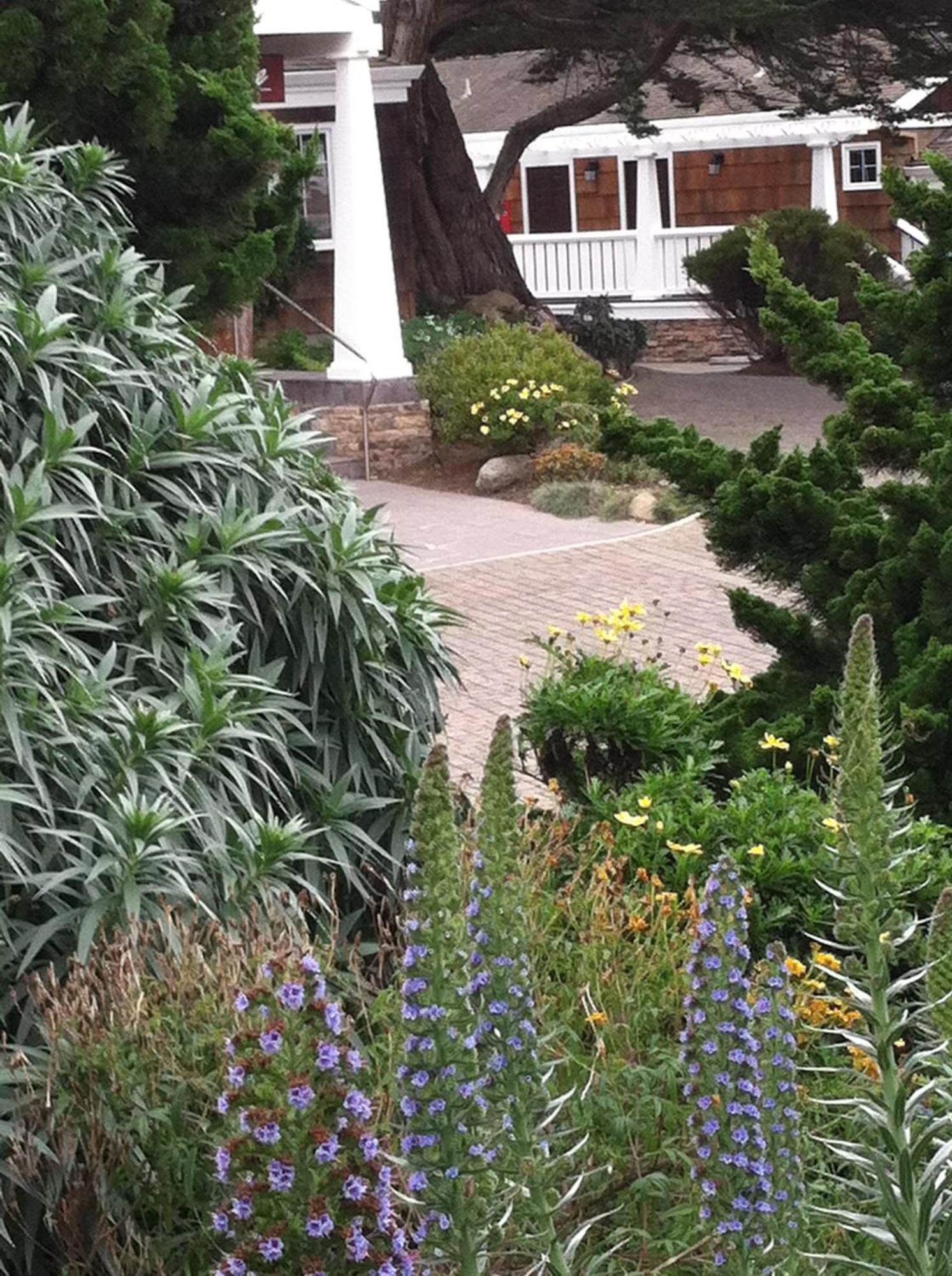 פסיפיק גרוב Lighthouse Lodge & Cottages מראה חיצוני תמונה