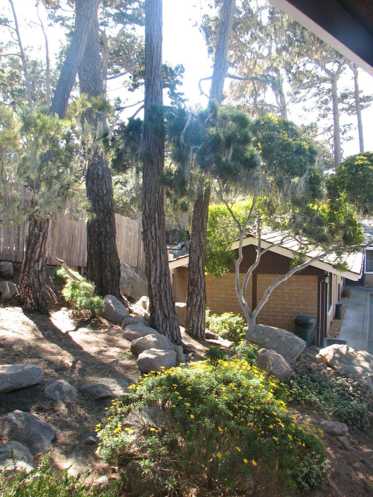 פסיפיק גרוב Lighthouse Lodge & Cottages מראה חיצוני תמונה